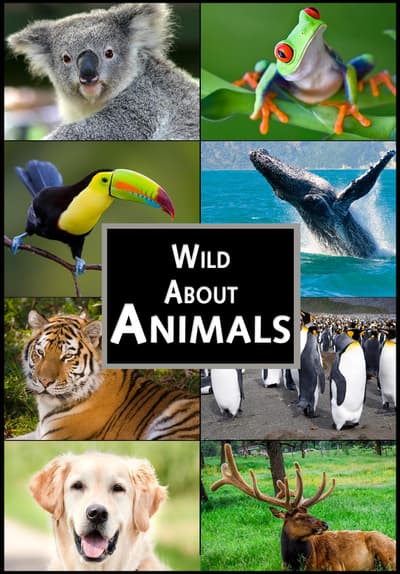 S10:E07 - The Vancouver Aquarium, Grizzly Bears, and Local Timberwolves