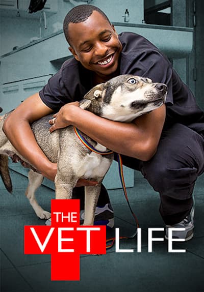 The Vet Life