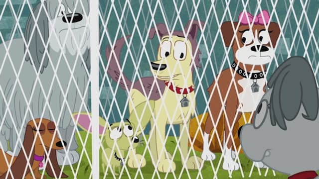 S01:E17 - Bone Voyage