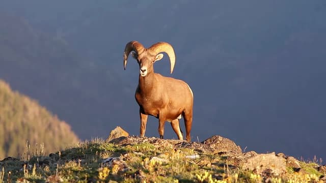 S01:E20 - Conocimiento, igualdad y atención integral