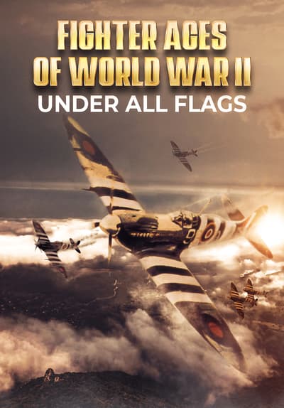 Fighter Aces of World War II: Under All Flags