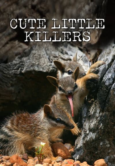 Cute Little Killers