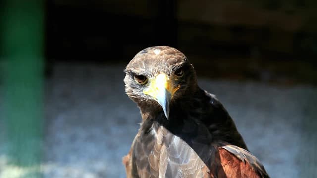 S01:E19 - Autodisciplina, excelencia y entusiasmo