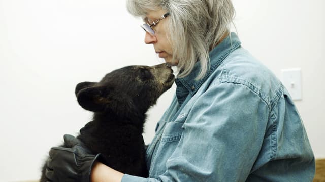 S01:E01 - A Cub With a Kick