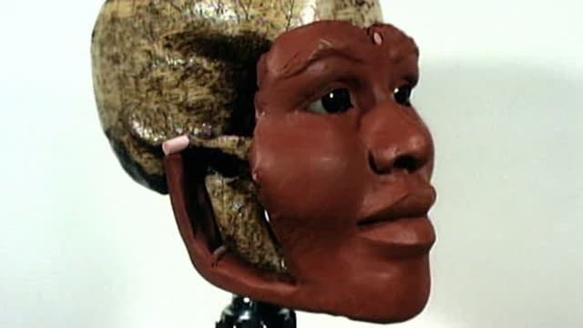 S01:E13 - Reconstructing Murder / Fire Flicks