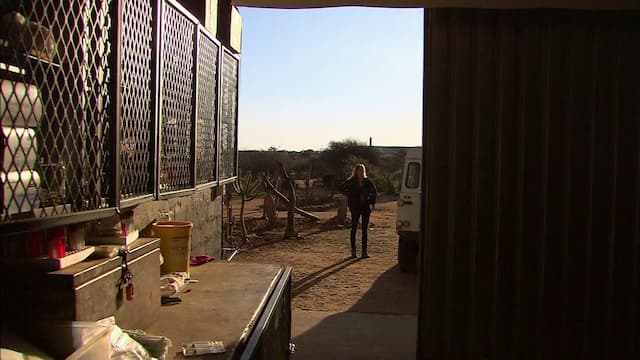 S01:E09 - Operation Wild Dog