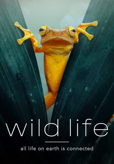 S01:E03 - Nature's Erector Set