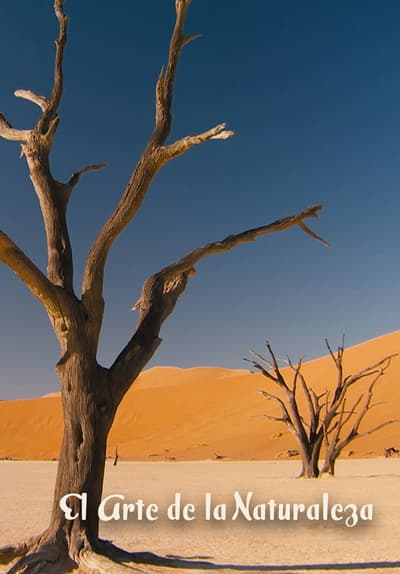 El Arte de la Naturaleza