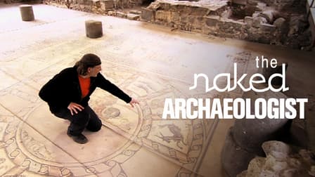Watch The Naked Archaeologist Free TV Shows Tubi
