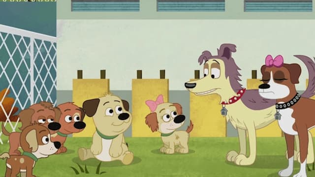 S01:E09 - Quintuplets