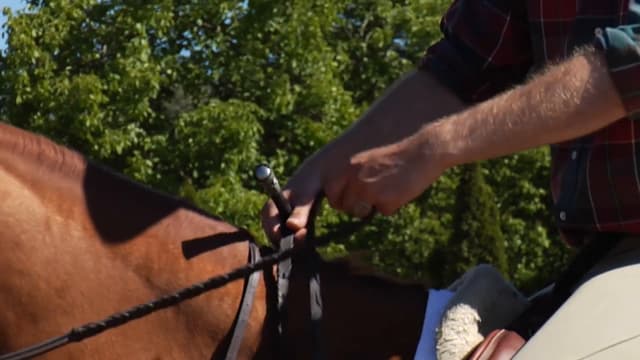 S01:E03 - Equestrian