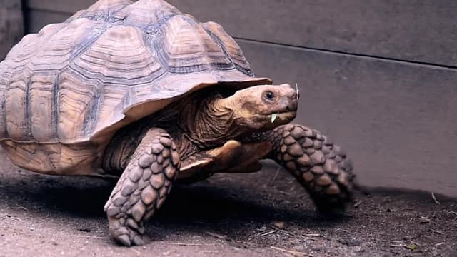 S01:E03 - Paciencia, respeto y bondad