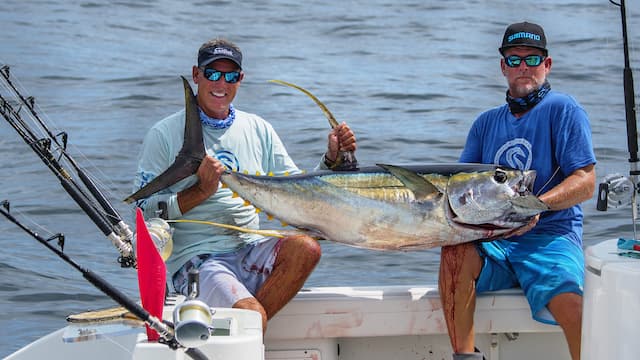 S11:E02 - The Tuna Difference