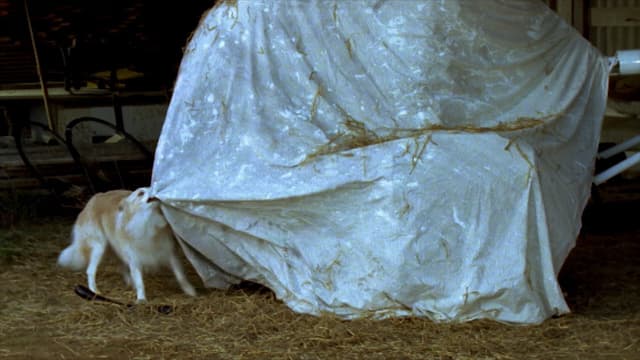 S01:E19 - The Secret Mountain (Pt. 3)