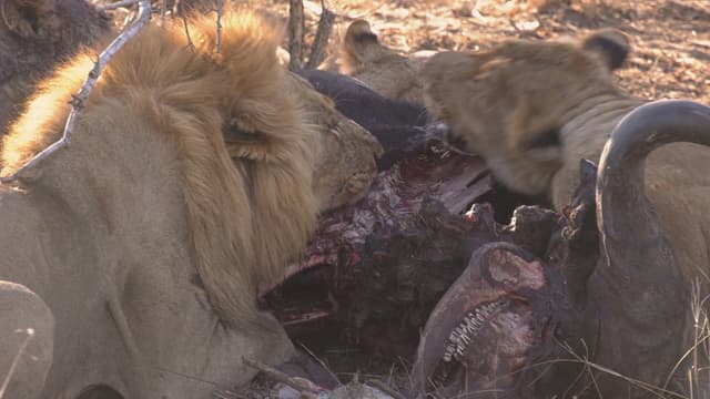 S01:E13 - Episode 13