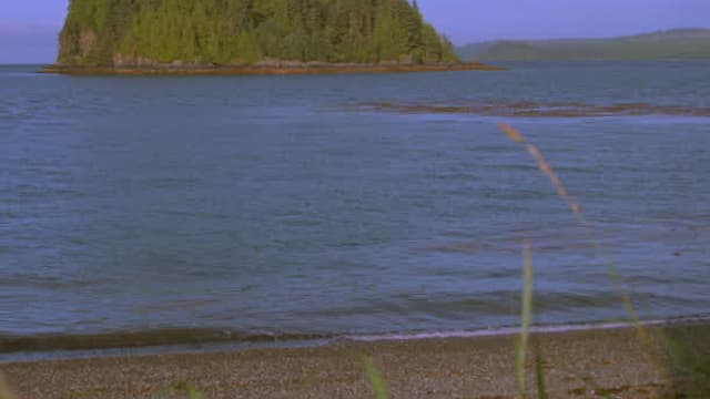 S01:E02 - Past-Life Memories