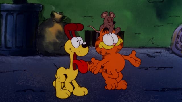 S05:E507 - The Kitty Council / The Bo Show / Bad Neighbor Policy
