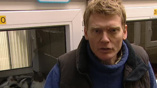 S06:E11 - Episode 11