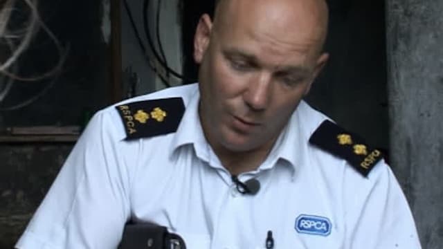 S06:E16 - Episode 16