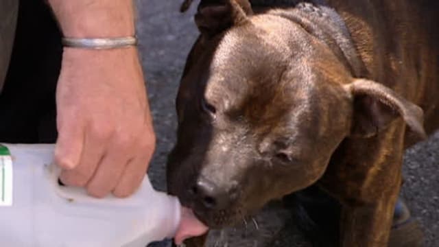 S06:E14 - Episode 14