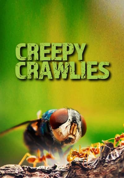S01:E01 - The Bug Buffet
