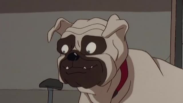 S01:E03 - The Irritable Bow-Wow Syndrome