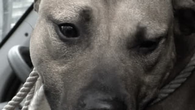 S06:E12 - Episode 12