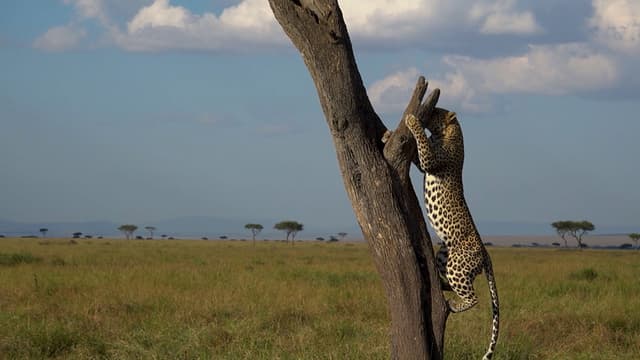 S01:E12 - Episode 12