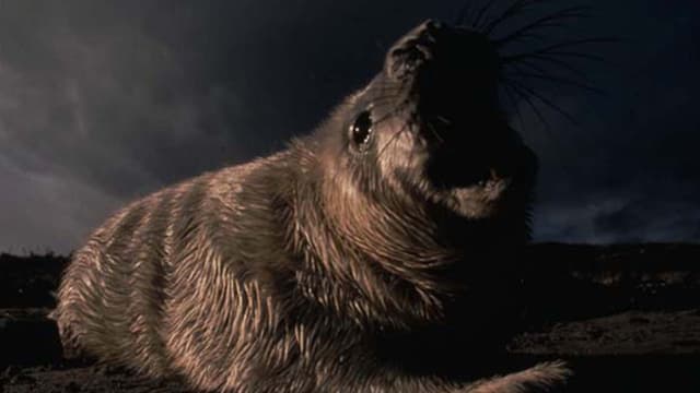 S01:E04 - Nose No Good, the Grey Seal