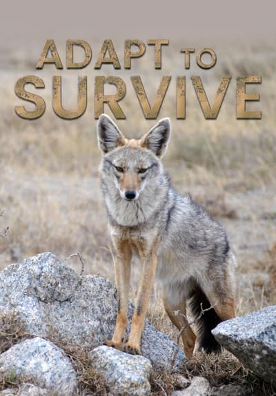 S01:E03 - Opportunists