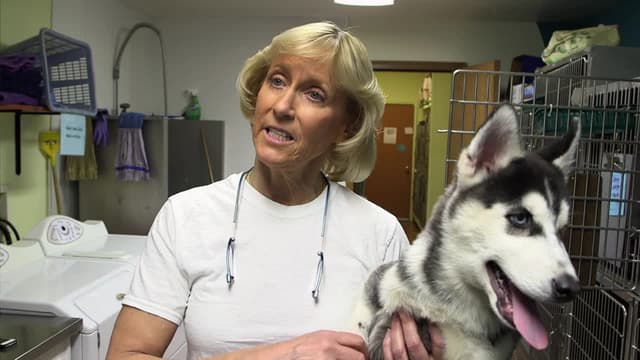 S01:E01 - Taking Flight