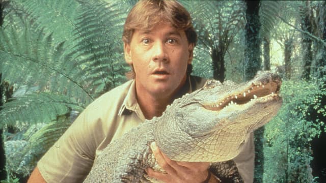 S06:E18 - Steve Irwin