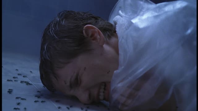 S01:E01 - The Fearing Mind: S1 E1 - Sweet Meat