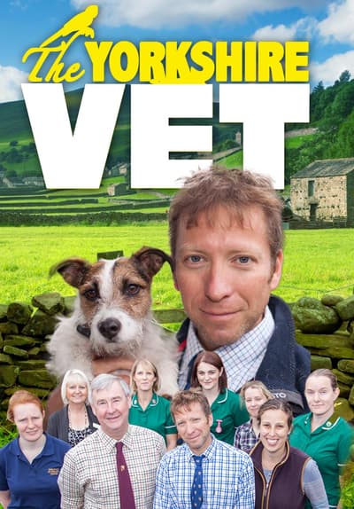The Yorkshire Vet