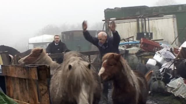 S06:E10 - Episode 10