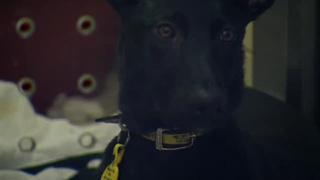 S06:E20 - Episode 20