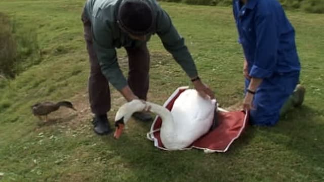 S06:E17 - Episode 17