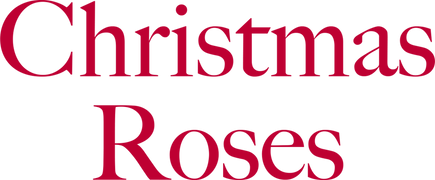 Christmas Roses