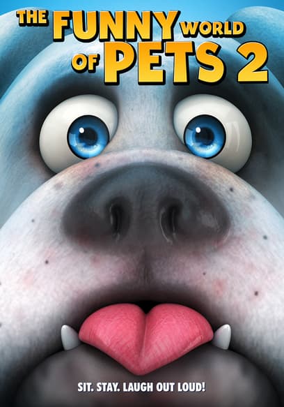 The Funny World of Pets 2