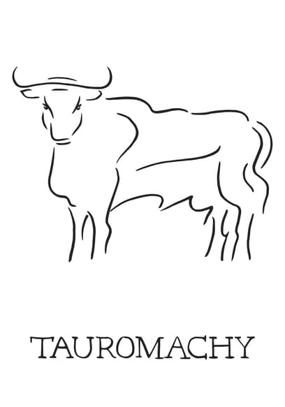 Tauromachy