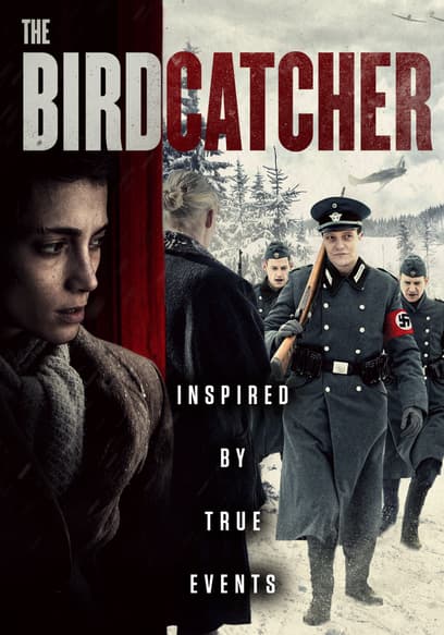 The Birdcatcher