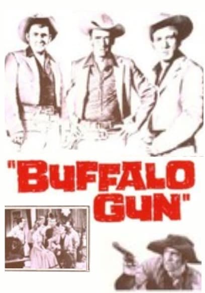 Buffalo Gun