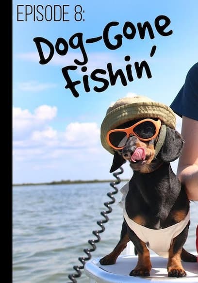 S01:E14 - Dog-Gone Fishin' and More poster