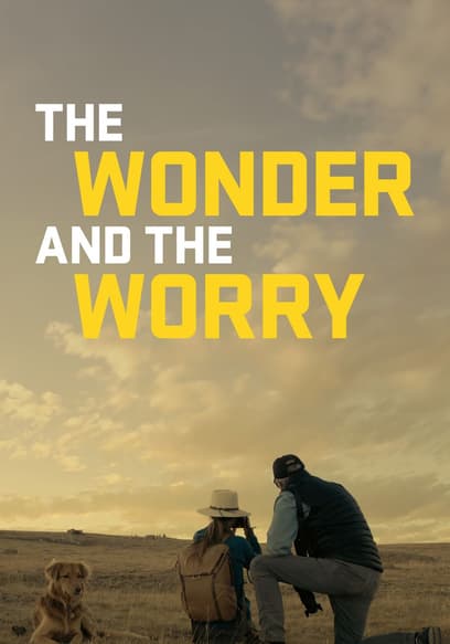 The Wonder and the Worry poster