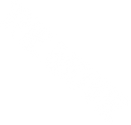 The Movie