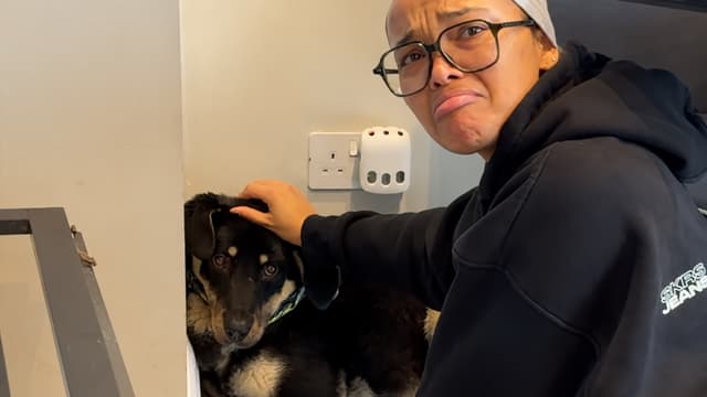 S01:E05 - Terrified Shutdown Rescue Dog Didn't Trust Anyone...