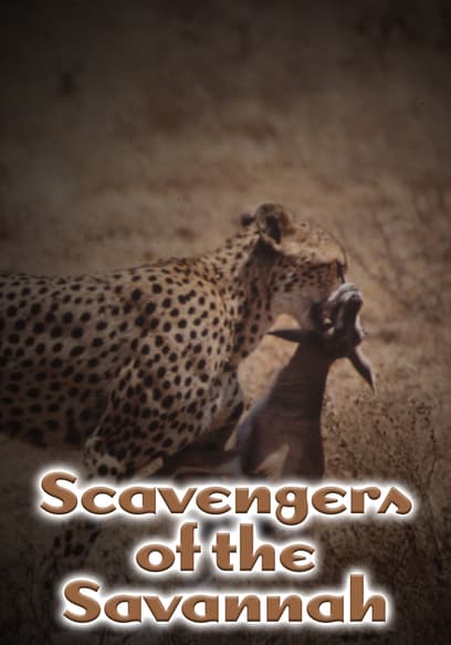 Scavengers of the Savannah