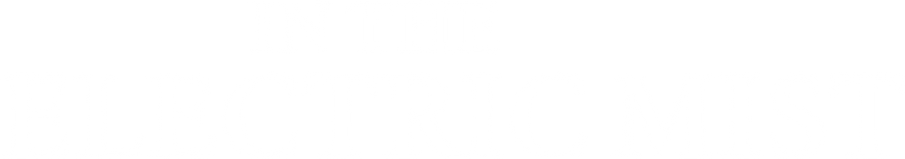 In the Electric Mist