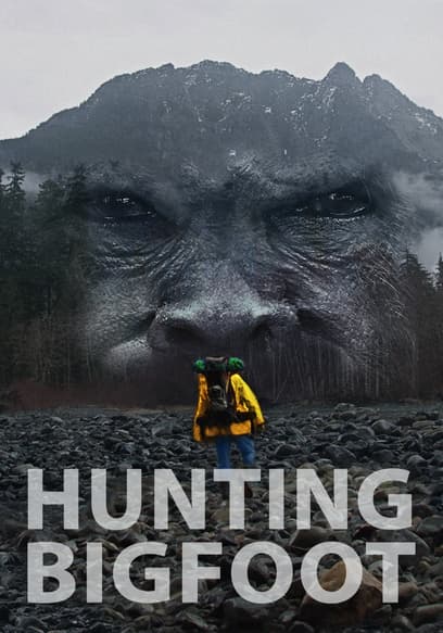 Hunting Bigfoot