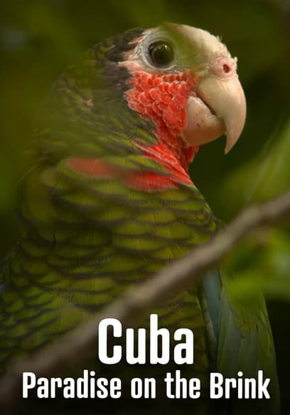 Cuba: Paradise on the Brink
